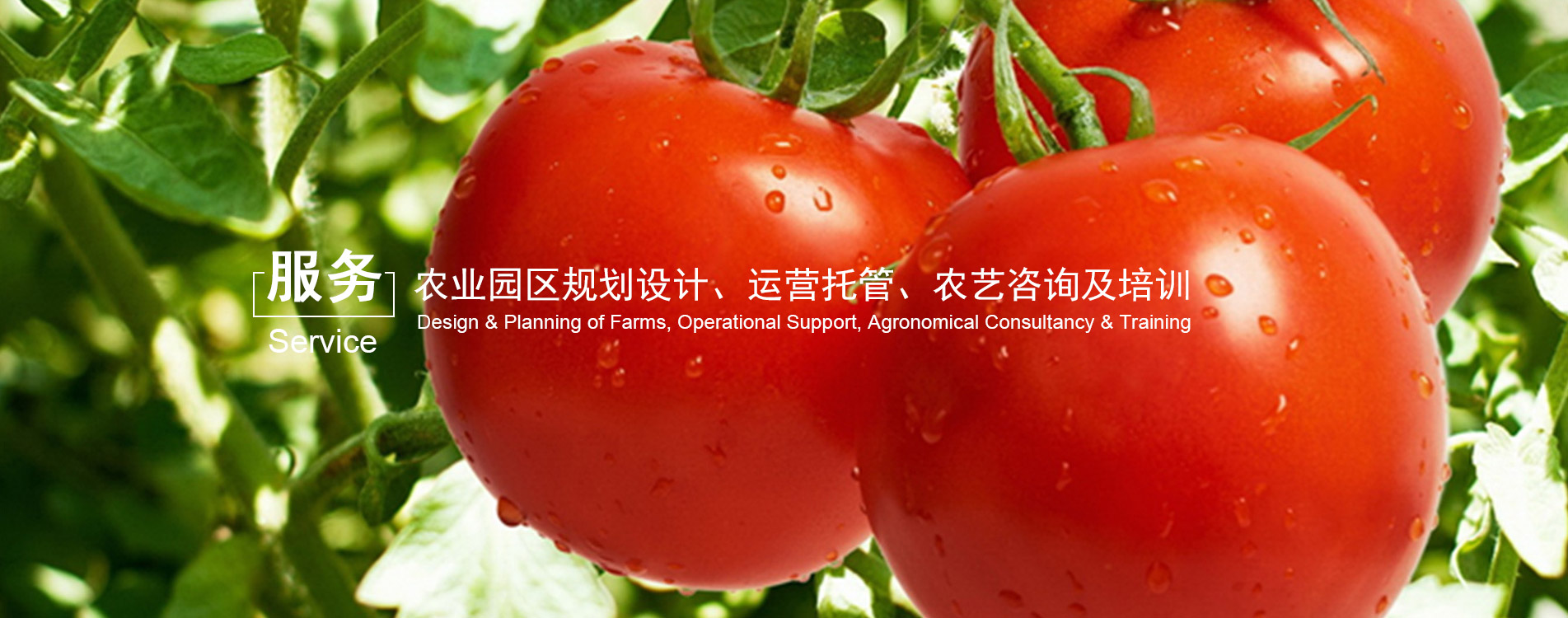 九游下载电脑版官网